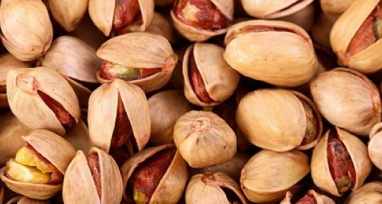 القصرين: تقديرات بإنتاج صابة فستق قياسيّة