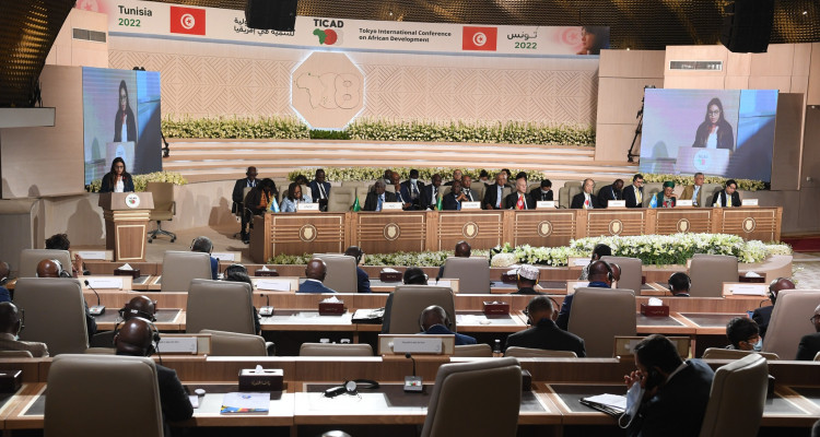 منها 3 لتونس: امضاء 30 اتفاقية بين اليابان والدول الافريقية