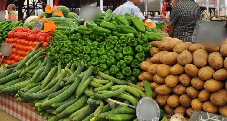 وزارة التجارة: توقع زيادة في أسعار  الخضر والغلال خلال الفترة المقبلة