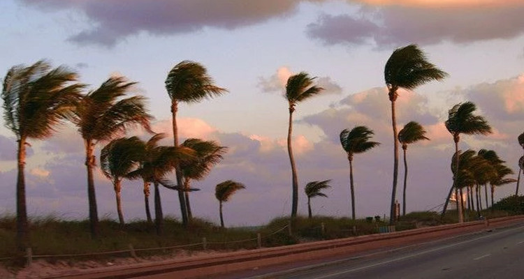 الليلة: نشاط الرياح يتطلب اليقظة