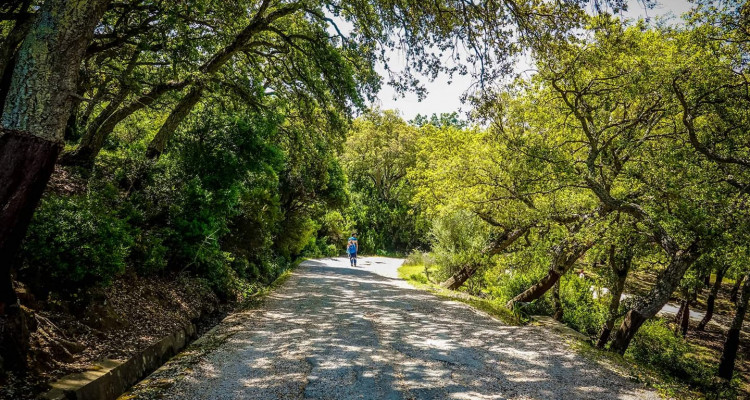 حالة الطقس: هدوء نسبي  الليلة القادمة
