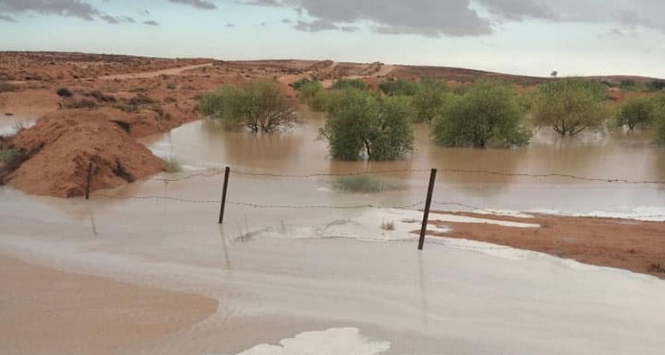 كميات الأمطار المسجلة خلال 24 ساعة الاخيرة