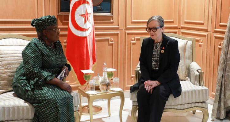رئيسة الحكومة:  هناك توجّه في تونس  نحو مضاعفة إنتاج الحبوب