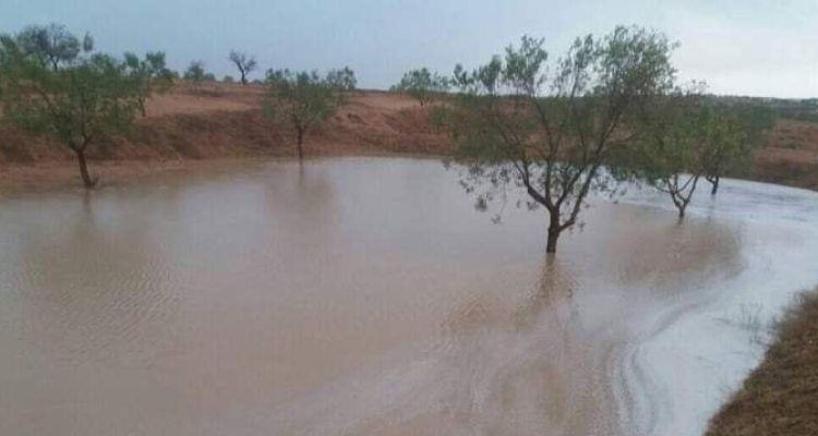 كميات الأمطار المسجلة خلال 24 ساعة الاخيرة