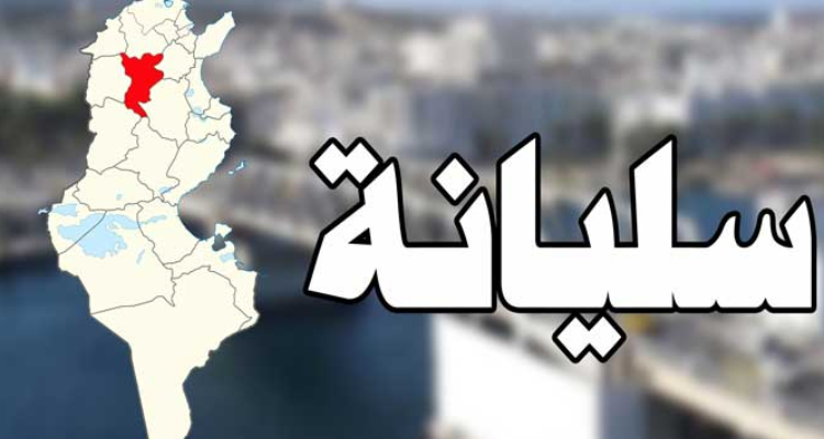 تكليف ليلى الرايس بمهام معتمد أول بولاية سليانة