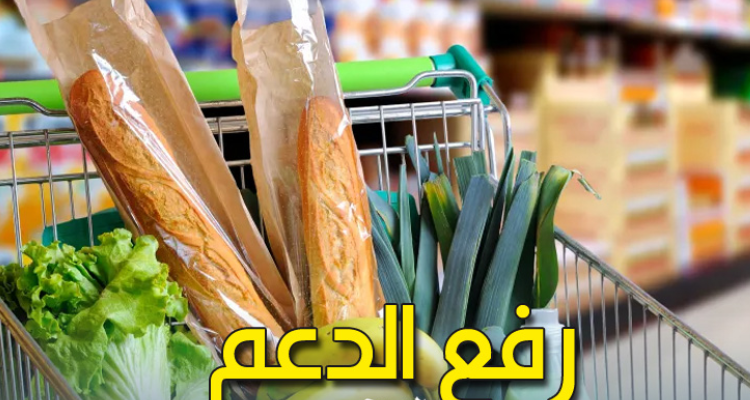 وزير التشغيل: الحكومة ليس لديها أي نية لرفع الدعم وإنما حوكمة منظومة الدعم