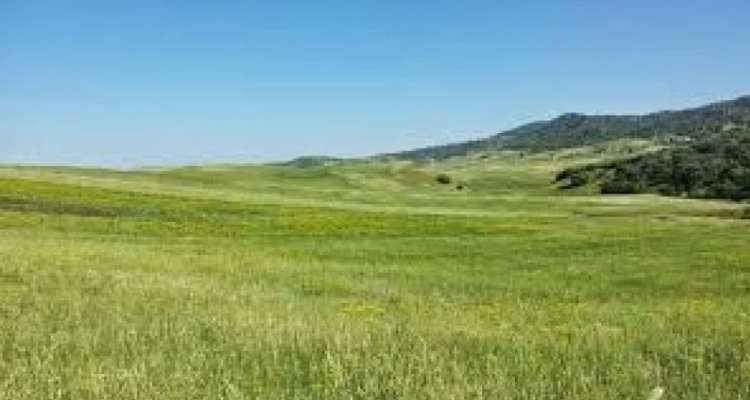 سليانة:  الدّولة تسترجع عقارين دوليين فلاحيين بمساحة 25 هكتارا