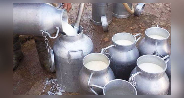 رئيس الغرفة الوطنية لمراكز تجميع الحليب يوجّه نداء لرئيس الجمهورية