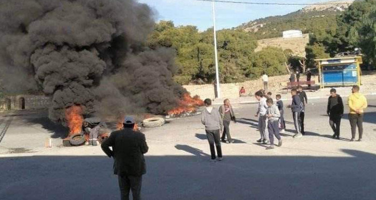  سليانة: متساكنو كسرى يغلقون الطريق احتجاجا على استرجاع الدولة لفجوات غابية مستغلة من قبل الأهالي