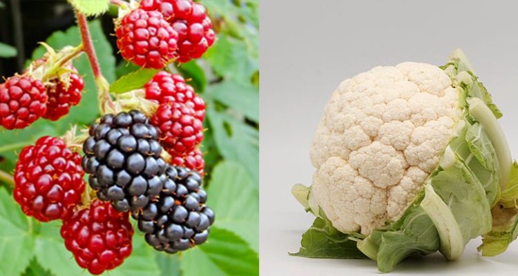 تحذير: البروكلو والتوت يسبّبان الإصابة بالكورونا