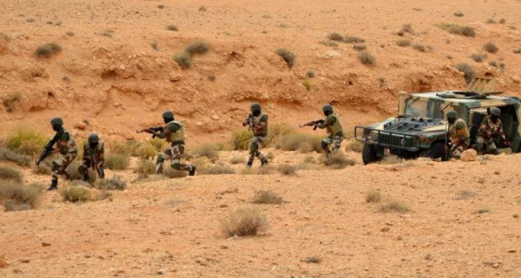 الحدود الجنوبيّة:  توقيف مهرب بحوزته حوالي 113 ألف قرص مخدر