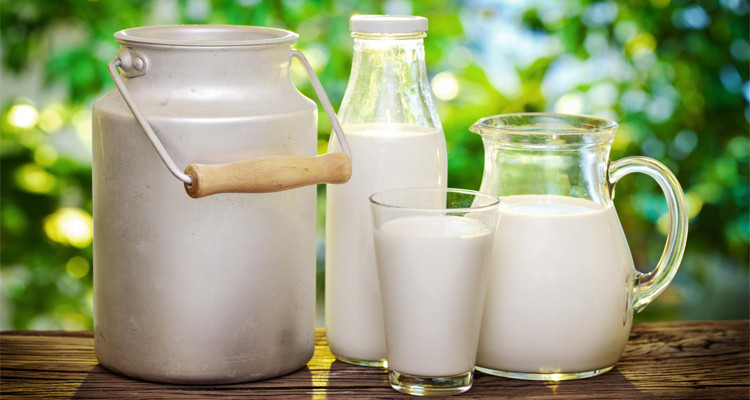 خلال 10 أيام: ضخّ 12 ألف لتر من الحليب بمسالك التوزيع في ولاية بن عروس