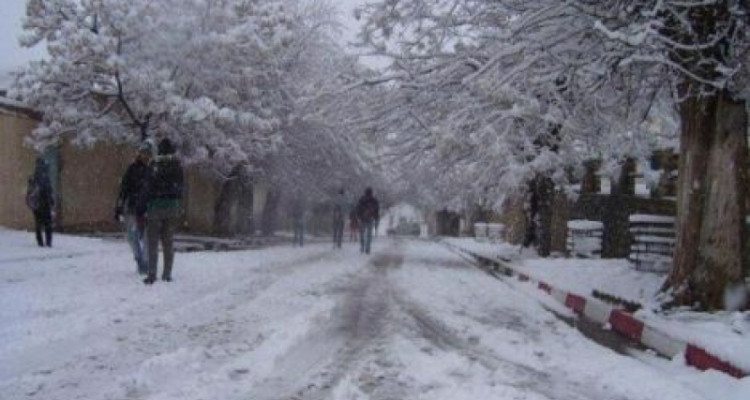 بسبب تساقط الثلوج: تواصل التحذيرات عالية المستوى على 5 ولايات