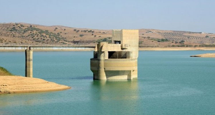 المندوب الجهوي للفلاحة بالنيابة:وضع السدود  في باجة مقلق جدا 
