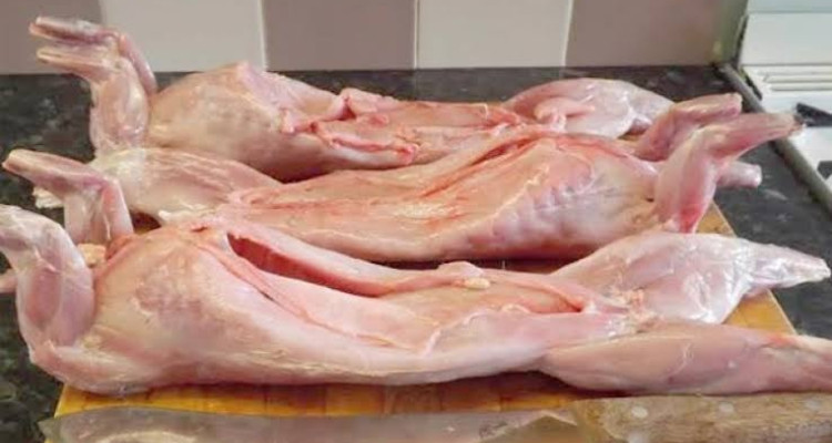 الجزائر:  بيع لحوم القطط على أساس أنها أرانب