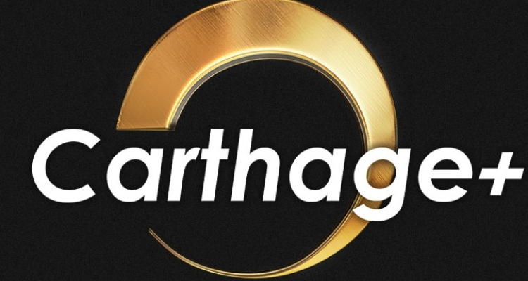 قناة قرطاج  + تؤكد وضع حساباتها المالية على ذمة القضاء