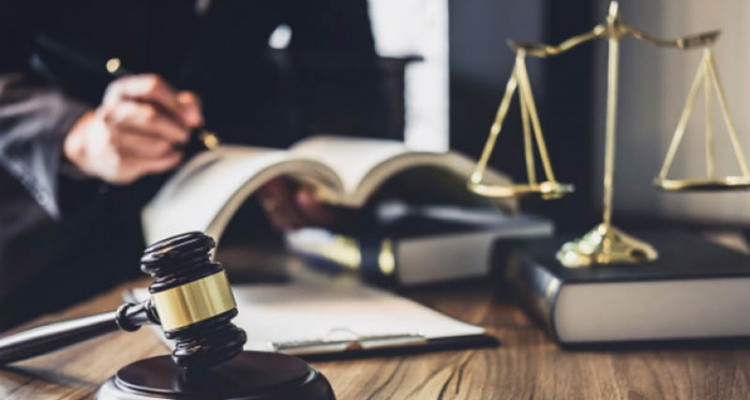 إيناس الحراث: إحالة 14 محاميا على التحقيق