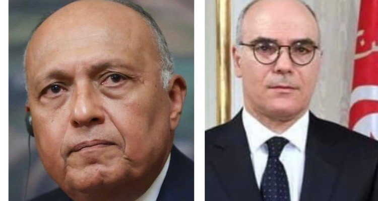 التعاون الثنائي بين البلدين محور مكالمة هاتفية بين عمّار ونظيره المصري