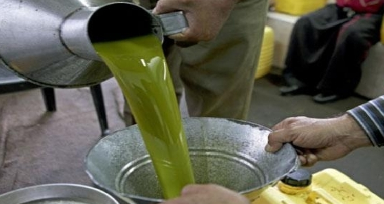 انتاج زيتون الزيت للموسم الحالي يقدر بحوالي 900 ألف طن