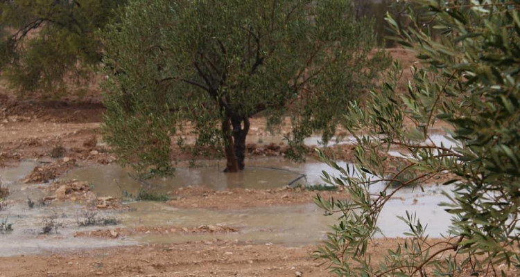 اليوم: طقس ممطر بهذه الجهات