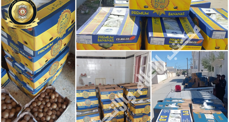 بين صفاقس وأريانة: ضبط  2660 كغ من الموز بمخزنين عشوائيين