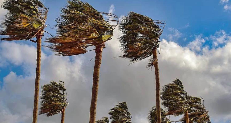 طقس اليوم: رياح قوية  وأجواء مغيمة