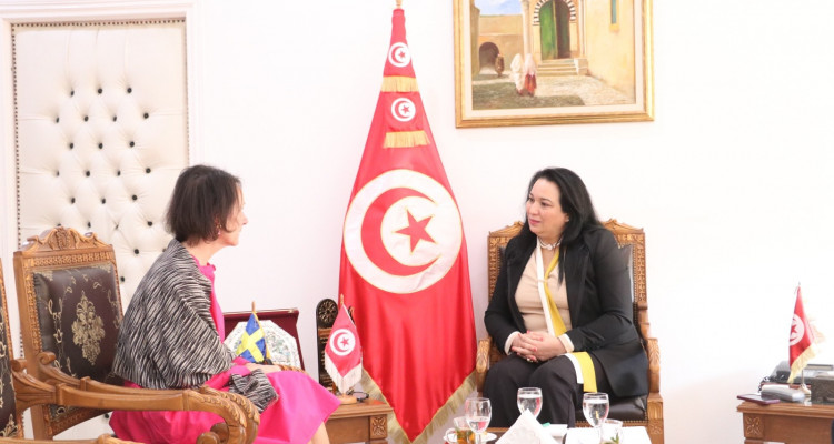 وضعيات أطفال من زواج تونسي سويدي محور لقاء وزيرة الأسرة و سفيرة السويد بتونس