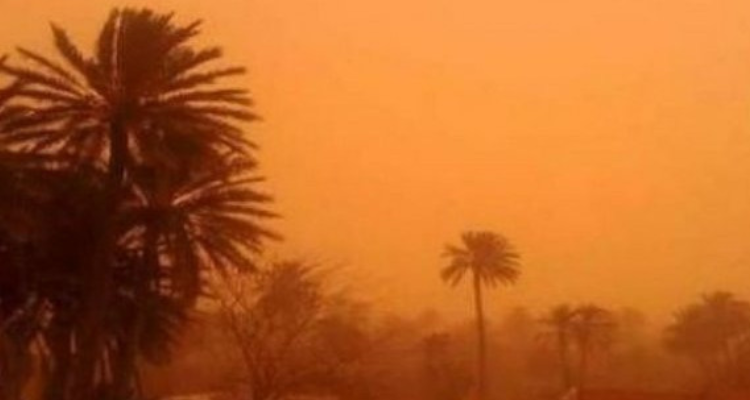 الرصد الجوي: إسناد اللون البرتقالي لولاية قبلي بسبب الرياح القوية جدا