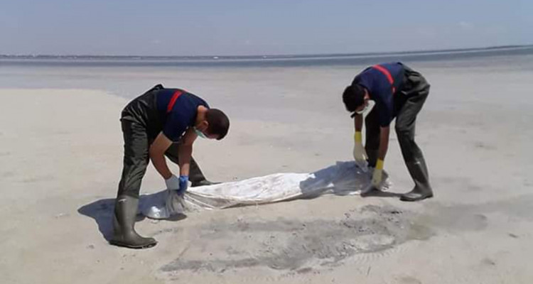 بين صفاقس والمهدية : انتشـــال 29 جثّة وإنقاذ 11 ''حارقا'' افريقيا