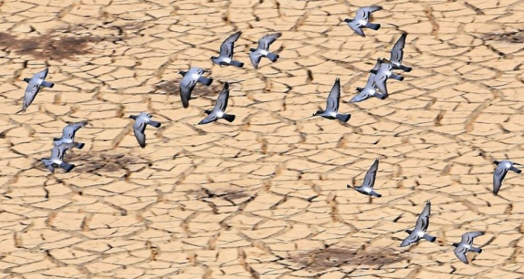 المرصد التونسي للمياه يطالب بالإعلان عن حالة الجفاف والطوارئ المائية