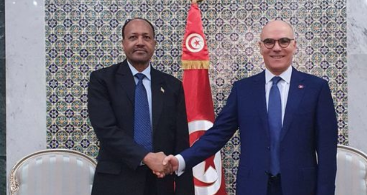 توسيع مجالات التعاون المثمر محور لقاء وزير  الخارجية وسفير السودان