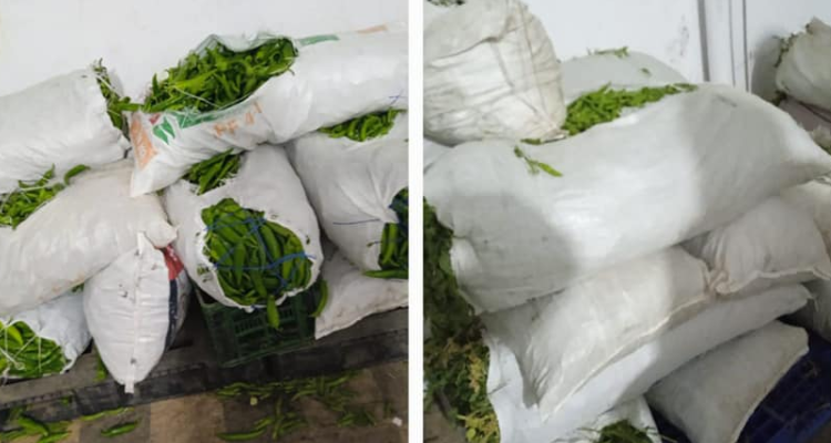 سيدي حسين: حجز 700 كلغ من الخضر بمخزن عشوائي