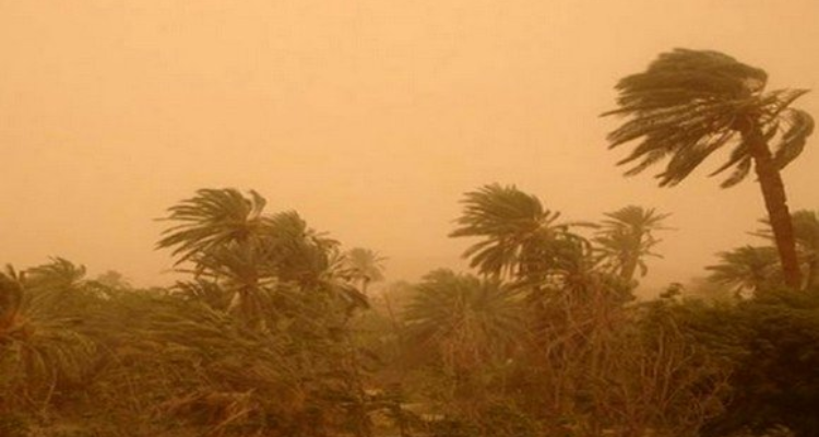 طقس اليوم: رياح قوية وانخفاض نسبي في درجات الحرارة