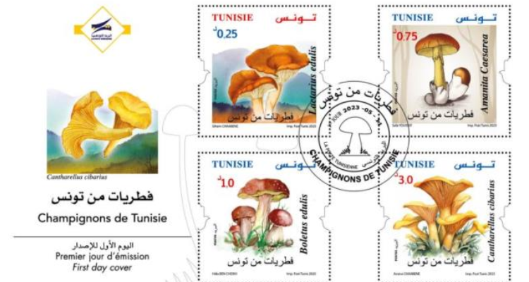 بداية من الغد : البريد التونسي ُيصدر 4 طوابع بريدية جديدة