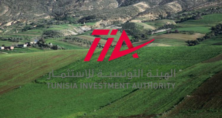 دعوة المستثمرين الراغبين في تغيير صبغة الأراضي الفلاحية التي اقيمت عليها مشاريع صناعية الى تقديم ملفاتهم