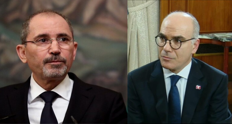 وزير خارجية سوريا يطلع نبيل عمار عن نتائج الاجتماع حول الازمة السورية