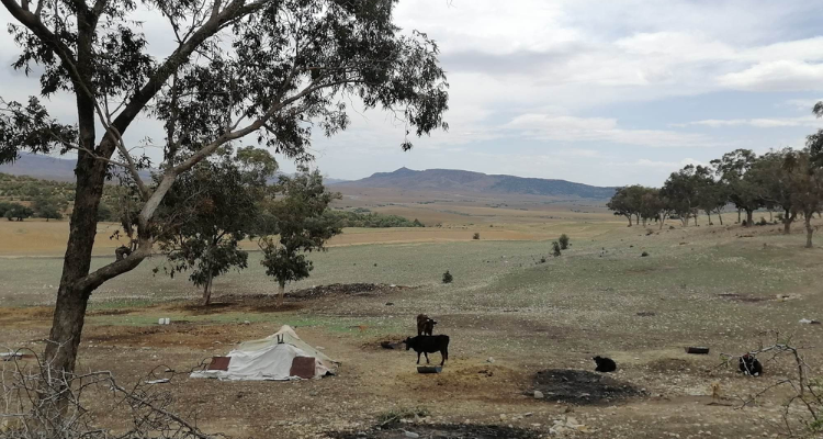 استرجاع 228 هكتارا من أراضي الدّولة في زغوان