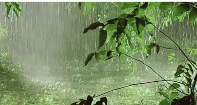 طقس اليوم: امطار متفرقة ورعدية  بأغلب المناطق