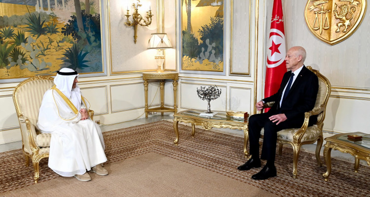 رئيس الدولة يستقبل الأمين العام لمجلس التعاون لدول الخليج العربية