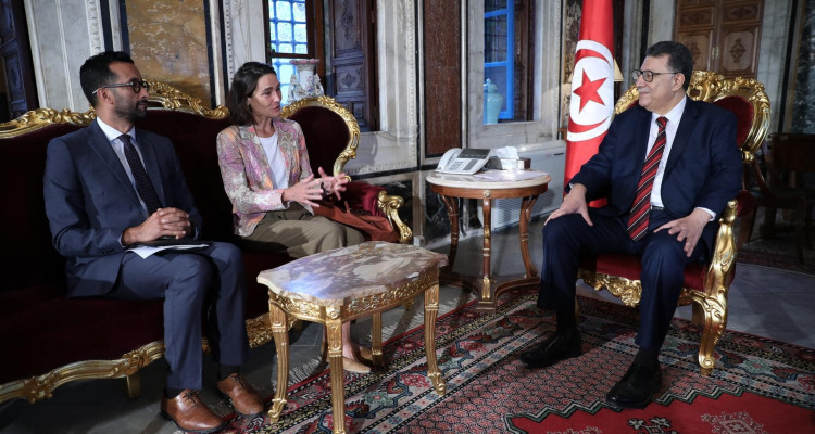 سفيرة هولندا تؤكد حرص بلادها على مزيد التعاون مع تونس في مختلف المجالات