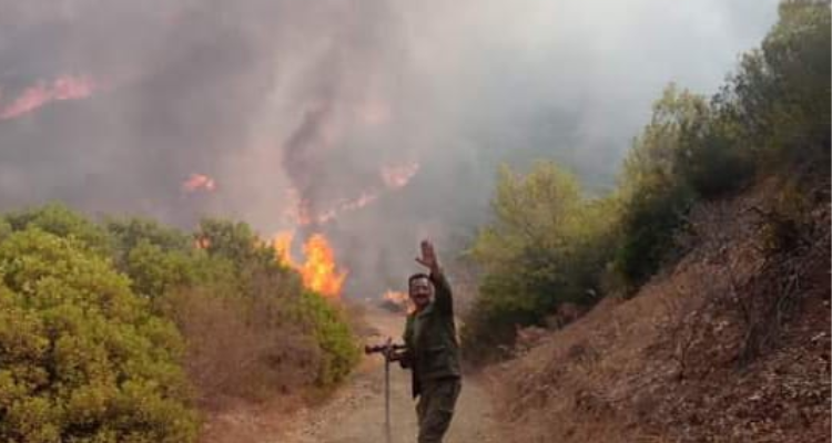 إدارة الغابات تدعو متساكني المناطق الغابيّة للإبلاغ على أيّ تحركات أو أحداث مشبوهة