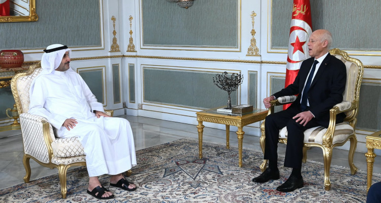 رئيس الدولة يستقبل المدير العام لمنظمة العمل العربية