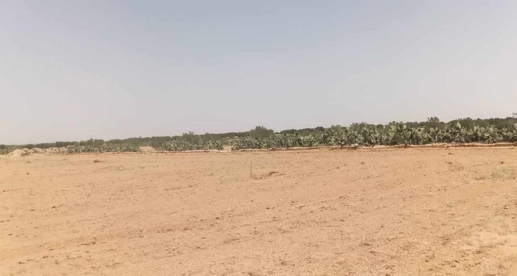 المهدية: استرجاع عقار دولي فلاحي بمساحة 5 هكتارات