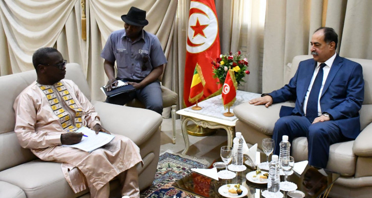الفقي يتباحث مع سفير مالي  وضعية الماليين المقيمين بتونس