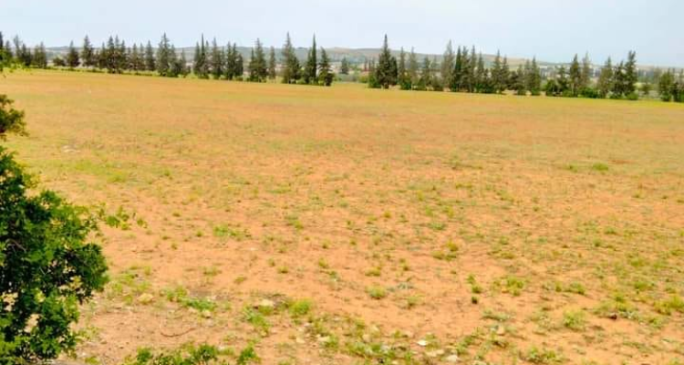 سليانة: استرجاع العقار الدولي الفلاحي "برتيدا ألفونس"