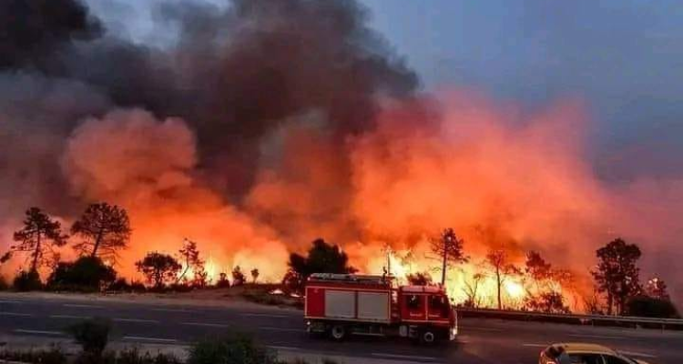 معز تريعة : اندلاع 14 حريقا خلال اليومين الماضيين