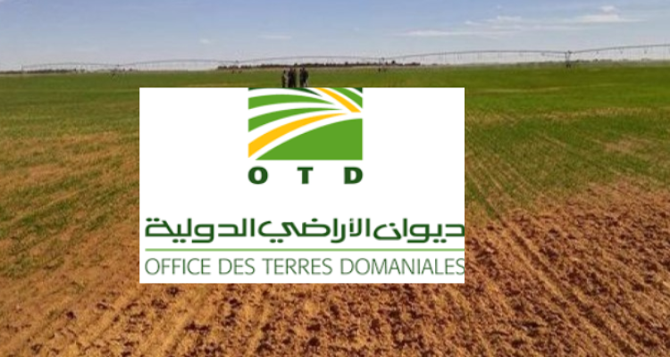 إنهاء مهام المدير العام لديوان الأراضي الدولية