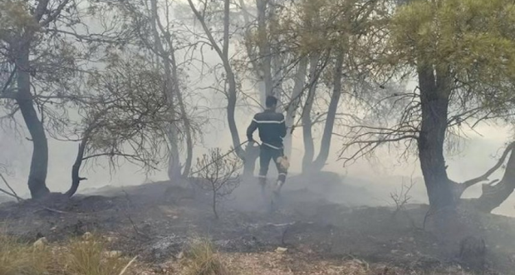 السيطرة على حريق جبل بوعبد الله بمعتمدية كسرى