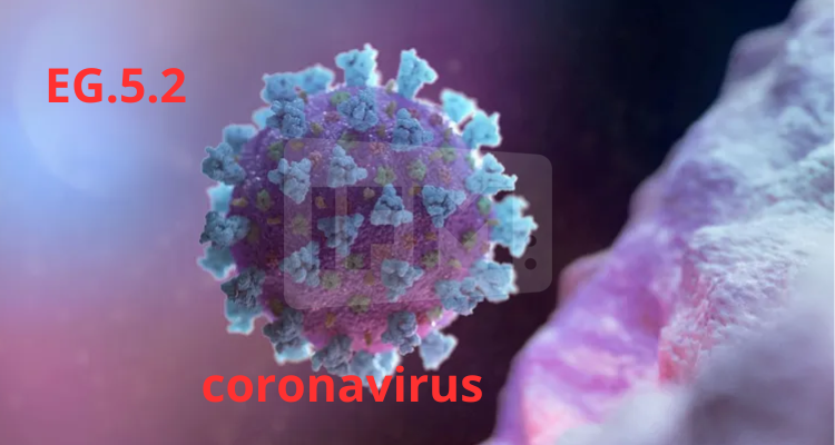 مصر ترصد أول حالتي إصابة بمتحور كورونا الجديد