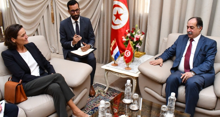 وزير الداخلية يستقبل سفيرة هولندا بتونس